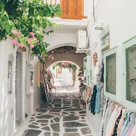 Heritage With Terrace In The Trendy Port Of Casa vacanze *