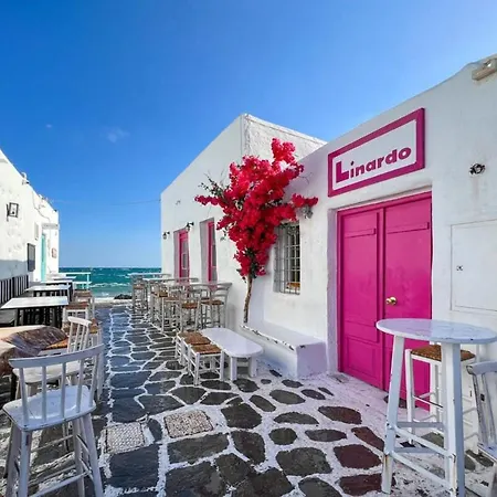 Casa vacanze Heritage With Terrace In The Trendy Port Of *