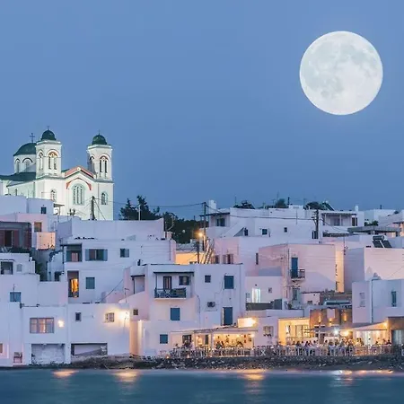 Heritage With Terrace In The Trendy Port Of *